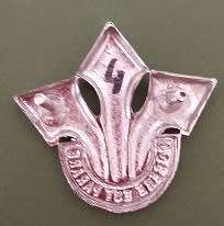 SADF - Corps of Professional Officers Chromed Cap Badge