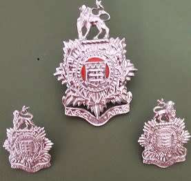 SADF - (ASC) Army Services Corps Chrome Cap & Collar Badges