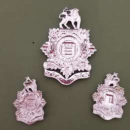 SADF - (ASC) Army Services Corps Chrome Cap & Collar Badges