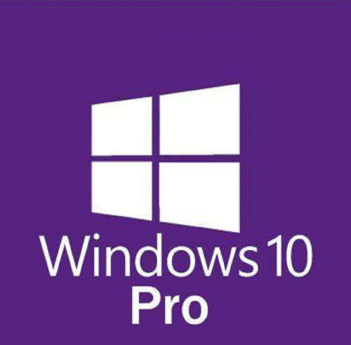 Windows 10 Pro (Late Entry)