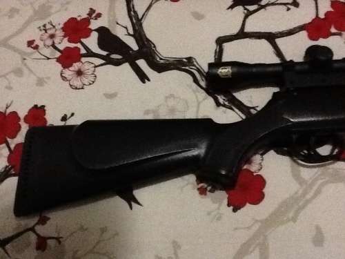 Webley Air Rifle with Nikko Sterling Scope