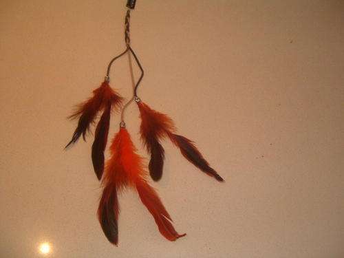 Hair Extensions FEATHER HAIR EXTENSIONS LATEST TREND R40-00