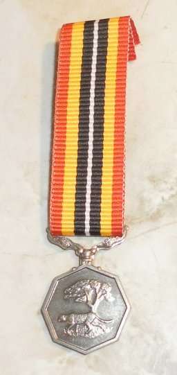 SOUTHERN AFRICA MEDAL MINIATURE