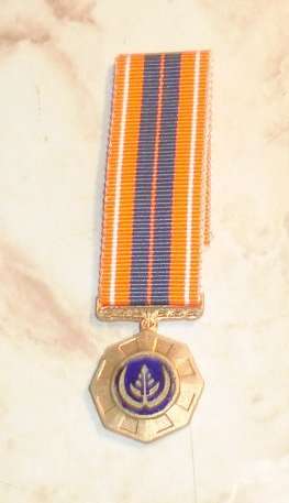 PRO PATRIA MINIATURE MEDAL