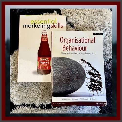 2x Marketing Books CLEARANCE SALE