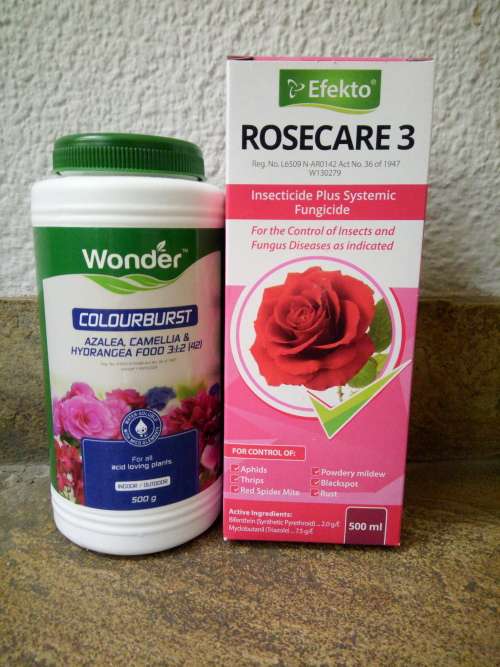 Rosecare & Colour Burst