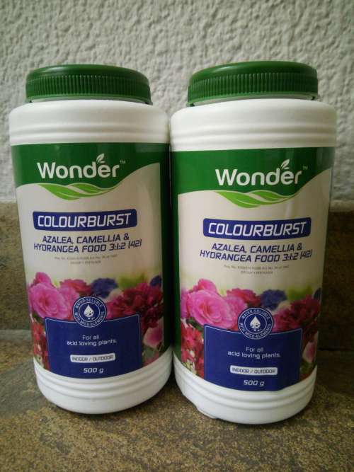 Colour Burst - Azalea, Camellia and Hydrangea food