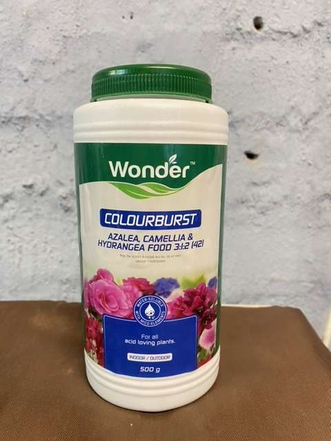 Wonder Colourburst Azalea, Camelia and Hydrangea Food 3:2:1 For All Acid Loving Plants