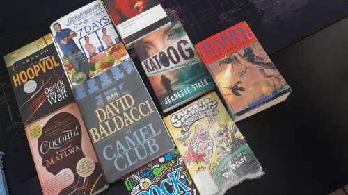 9 Books/Novels = 1 BID ** View Description