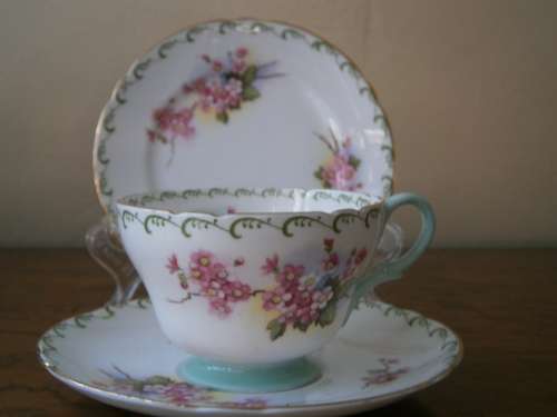 Shelley Fine Bone China  Tea Set  -  22 pieces