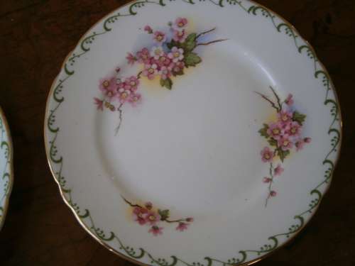 Shelley Fine Bone China  Tea Set  -  22 pieces