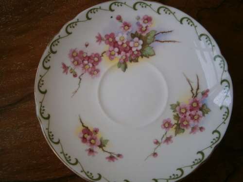 Shelley Fine Bone China  Coffee Set