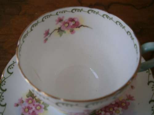 Shelley Fine Bone China  Coffee Set