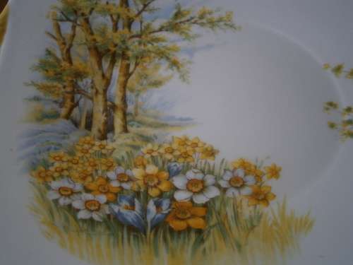Shelley Fine Bone China  Tea Set "Daffodil Time" -  21 pieces