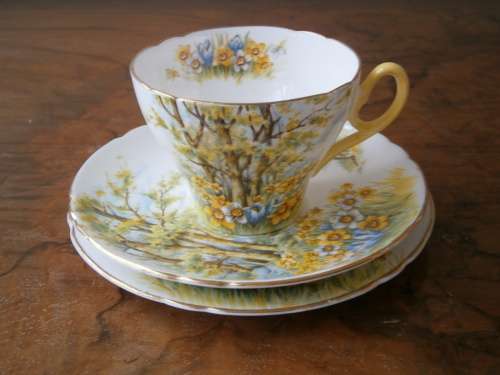 Shelley Fine Bone China  Tea Set "Daffodil Time" -  21 pieces