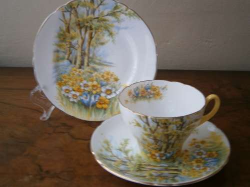 Shelley Fine Bone China  Tea Set "Daffodil Time" -  21 pieces