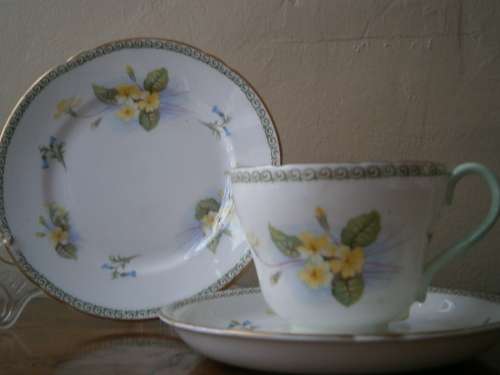 Shelley Fine Bone China  Tea Set -  21 pieces