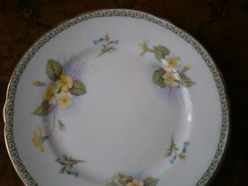 Shelley Fine Bone China  Tea Set -  21 pieces