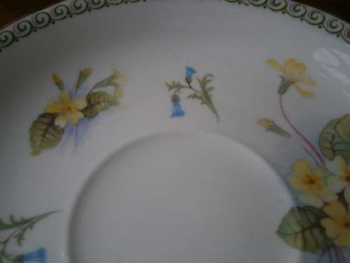 Shelley Fine Bone China  Tea Set -  21 pieces