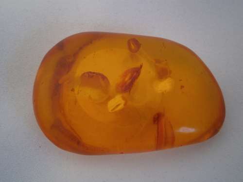 Baltic Amber #1