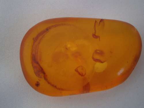 Baltic Amber #1