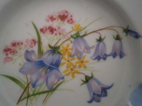 Shelley bone china Ashtray