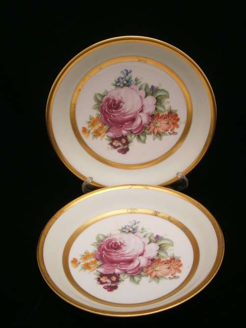Absolutely stunning  Limoge (France)  China -  Two Handpainted Plates