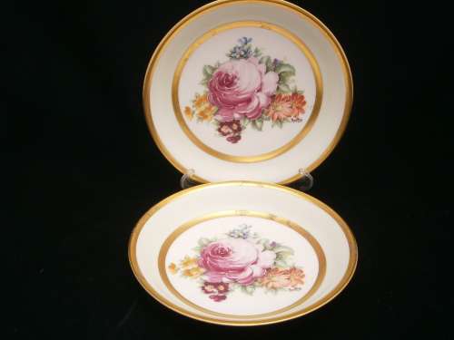 Absolutely stunning  Limoge (France)  China -  Two Handpainted Plates