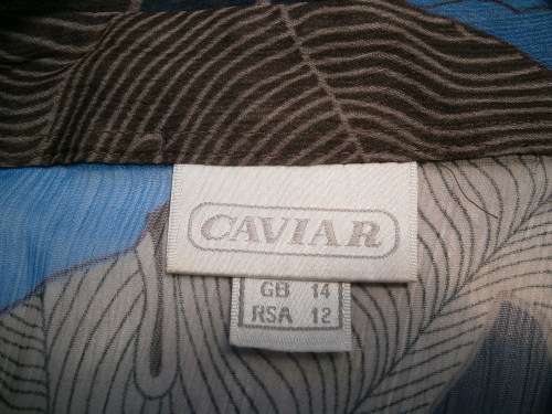 Long sleeve blouse by Caviar in size 12
