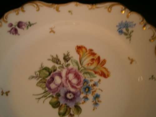 Dresden Hand painted  Porcelain  Plate