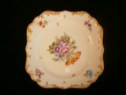 Dresden Hand painted  Porcelain  Plate