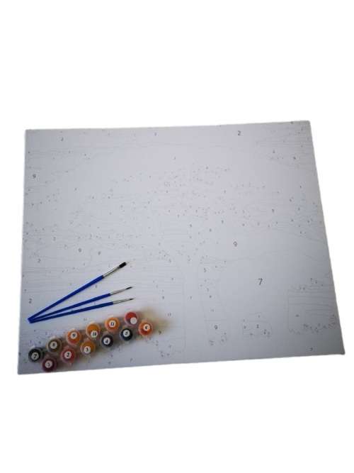 Paint by Numbers - Dancer