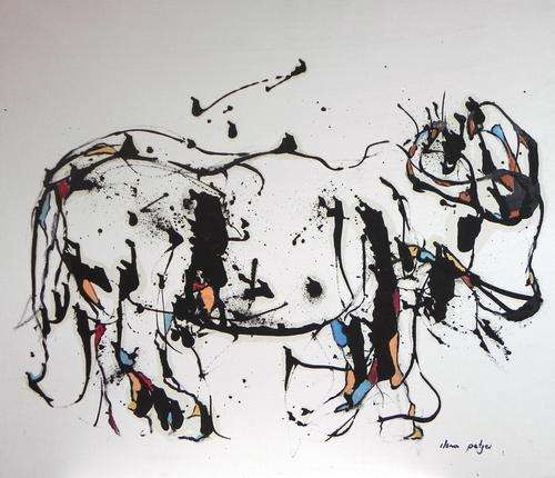 Ilona Petzer Buffalo