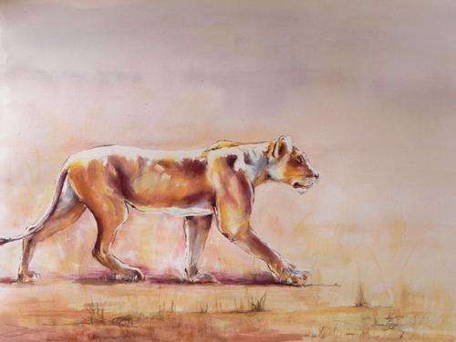 Lioness on the move