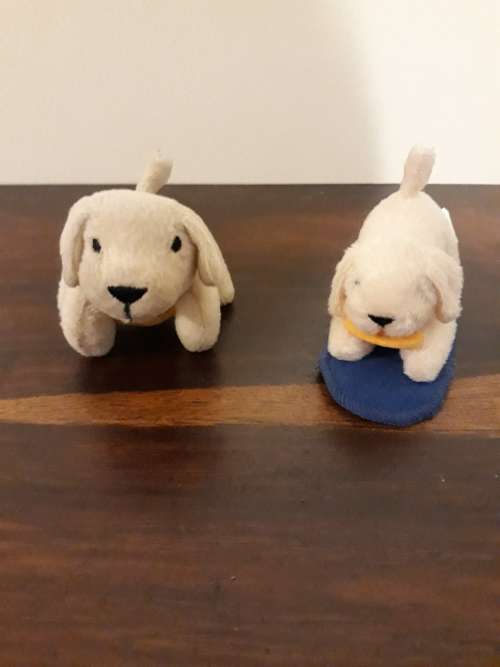 A Pair of Adorable Baby Soft Puppies