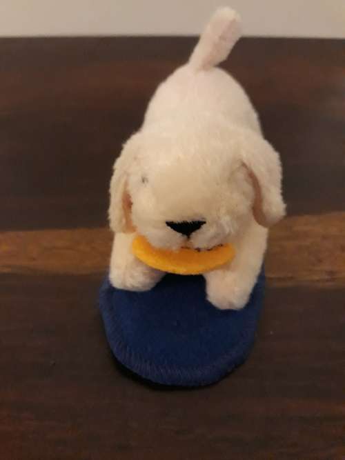 A Pair of Adorable Baby Soft Puppies