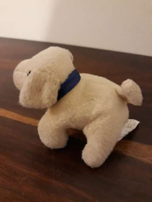 A Pair of Adorable Baby Soft Puppies