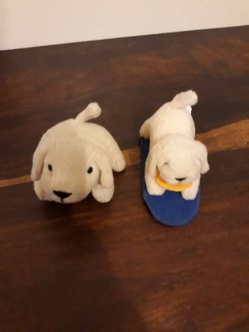 A Pair of Adorable Baby Soft Puppies