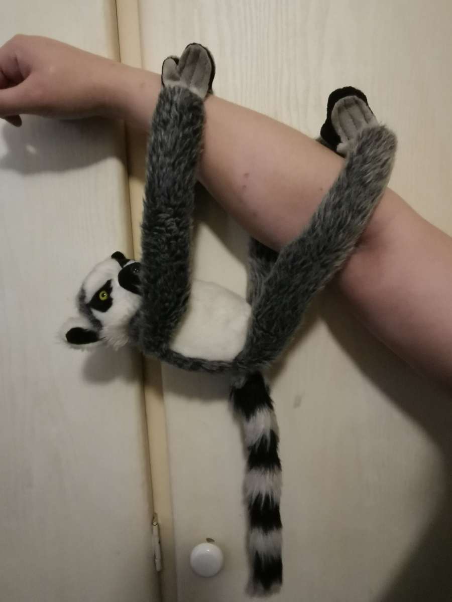 A Lemur by: Africa`s Legends - Perfect Condition!