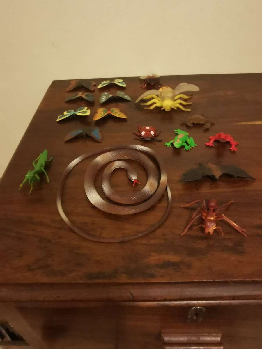 Creepies, Crawlies, Bugs and Slugs