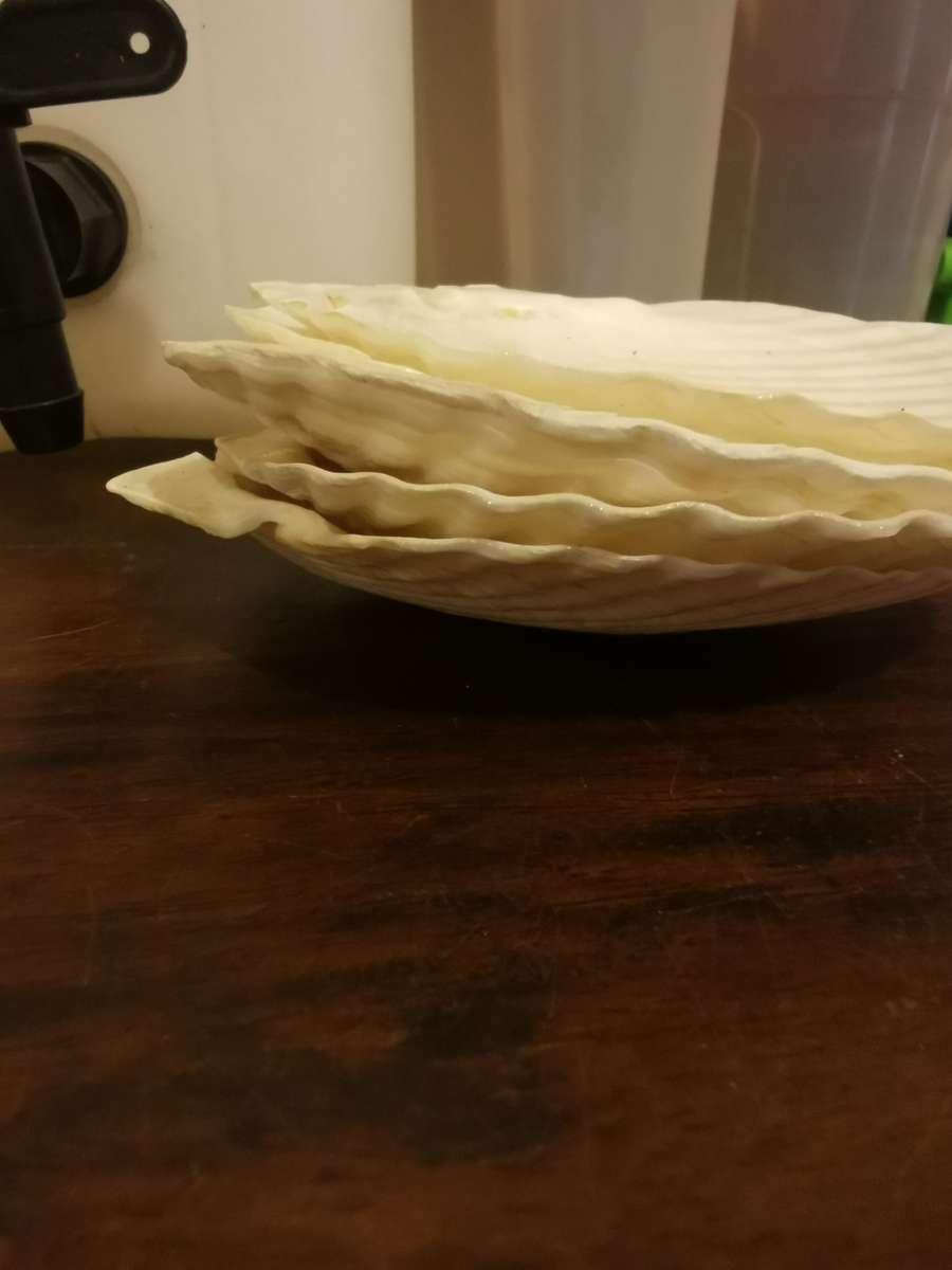 Huge Household Job Lot - Plastics and Other