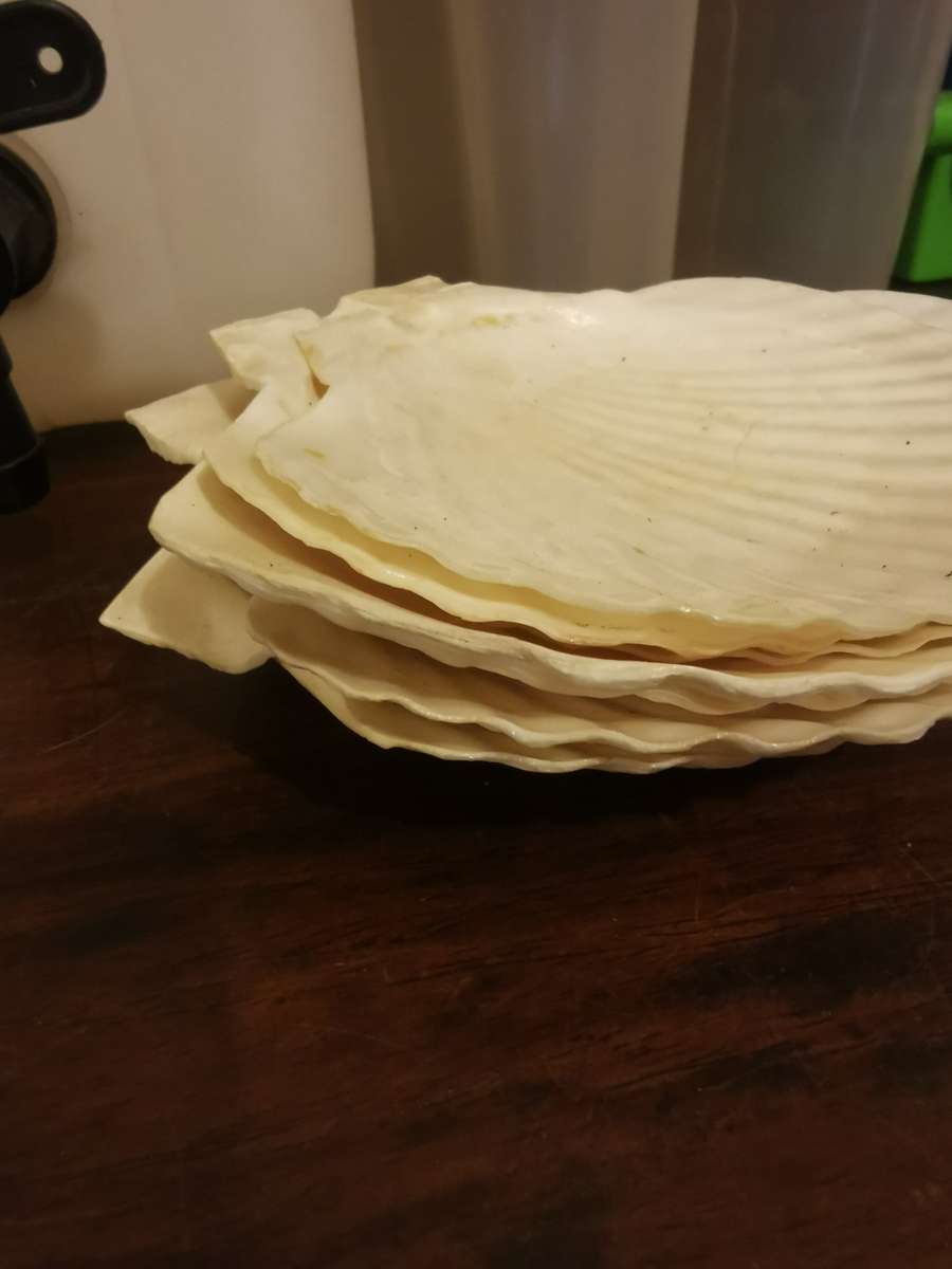 Huge Household Job Lot - Plastics and Other