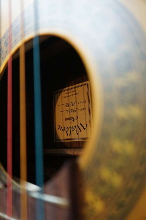 acoustic electric classical guitar