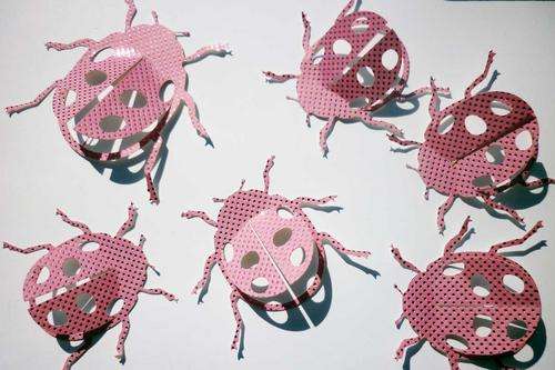 3D card pink metallice ladybugs ladybirds interior decorating kids girls wall art