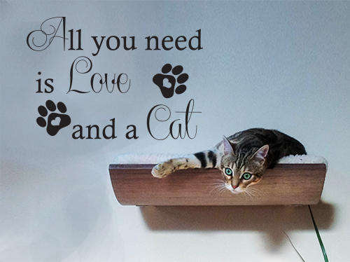 Love cat  Vinyl Wall Art Quote Sticker Decal Vinyl Interior
