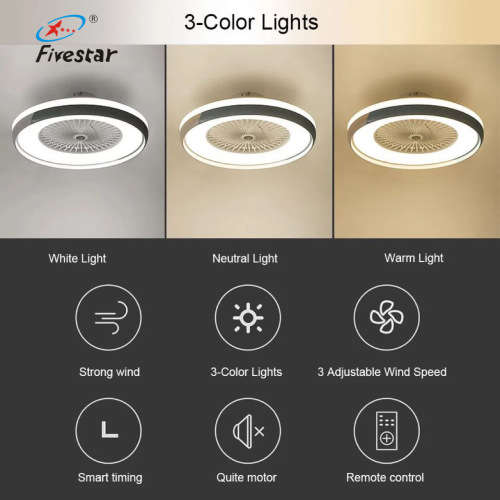 Ceiling Fan Light (Black and White)