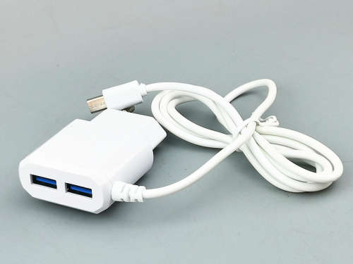 Travel AC wall charger adapter With 2 USB Ports For Samsung