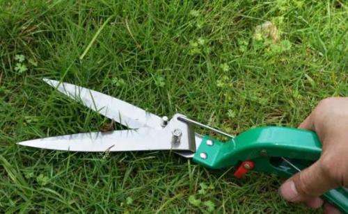 10Pcs Garden stainless steel Tools for Planting Weeding, Garden Hand Tools with Carrying Case