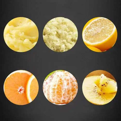 Portable Stainless Steel Fruit And Vegetable Juicer