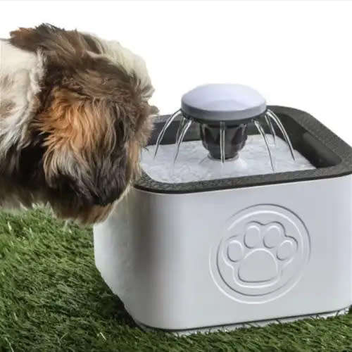 Convenient Pet Water Fountain With Filter, Cat Water Fountain, Dog Water Fountain (Random Color)